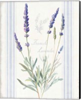 Framed 'Floursack Lavender I' border=