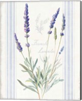 Framed 'Floursack Lavender I' border=