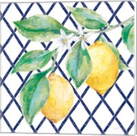 Framed 'Everyday Chinoiserie Lemons II' border=