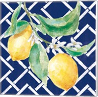 Framed 'Everyday Chinoiserie Lemons I' border=