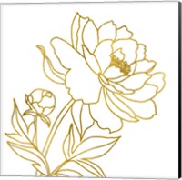 Framed 'Gold Floral III' border=