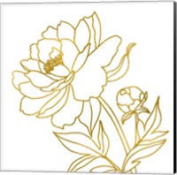 Framed 'Gold Floral V' border=