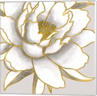 Framed 'Gold Peony' border=