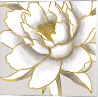 Framed 'Gold Peony II' border=