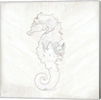 Framed 'Coastal Seahorse' border=