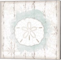 Framed 'Calming Coastal Sand Dollar' border=