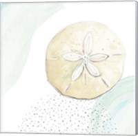 Framed 'Turquoise Ocean Sand Dollar' border=