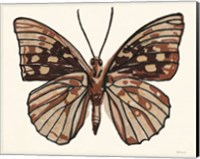 Framed 'Papillon 1' border=