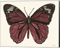 Framed 'Papillon 6' border=