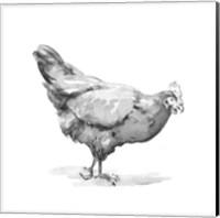 Framed 'Barn Fowl II' border=