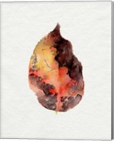 Framed 'Watercolor Autumn Leaf I' border=