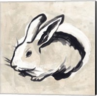 Framed 'Antique Rabbit II' border=