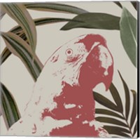 Framed 'Graphic Tropical Bird IV' border=