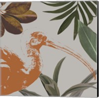 Framed 'Graphic Tropical Bird VI' border=