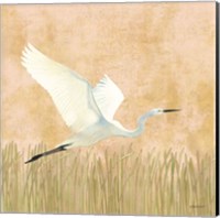 Framed 'Egret Alighting II' border=