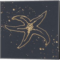 Framed 'Gold Starfish III' border=