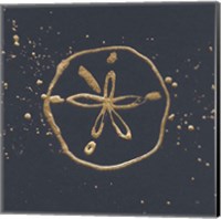 Framed 'Gold Sand Dollar I' border=