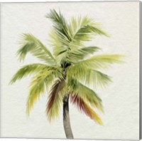 Framed 'Coco Watercolor Palm I' border=