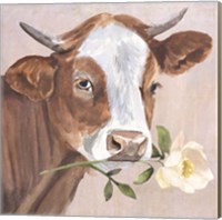 Framed 'Peony Cow II' border=