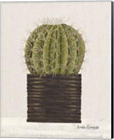 Framed 'Potted Cactus' border=