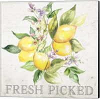 Framed 'Lemon Grove III' border=