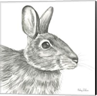 Framed 'Watercolor Pencil Forest II-Rabbit' border=