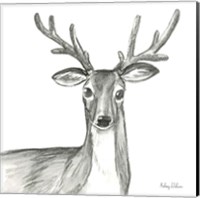 Framed 'Watercolor Pencil Forest VIII-Deer' border=