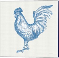 Framed 'Cottage Rooster IV' border=