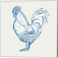 Framed 'Cottage Rooster II' border=