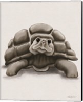 Framed 'Torty the Turtle' border=