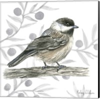 Framed 'Backyard Birds II-Chickadee' border=