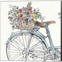 Framed 'Farmhouse Flea Market Bike II' border=