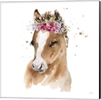 Framed 'Floral Pony Pink Sq' border=