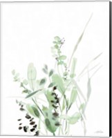 Framed 'Grasses II' border=