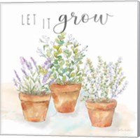 Framed 'Let it Grow III' border=