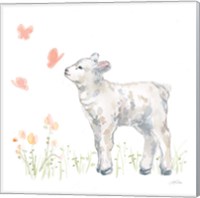 Framed 'Spring Lamb IV' border=