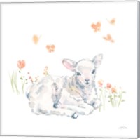 Framed 'Spring Lambs III' border=