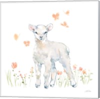 Framed 'Spring Lambs II' border=