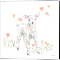 Framed 'Spring Lambs I' border=