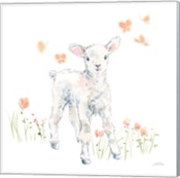 Framed 'Spring Lambs I' border=