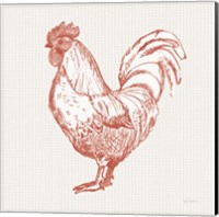 Framed 'Cottage Rooster II Red' border=