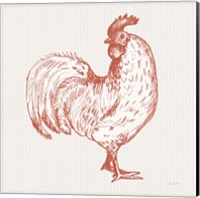 Framed 'Cottage Rooster III Red' border=