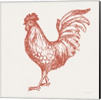 Framed 'Cottage Rooster IV Red' border=