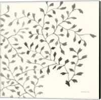 Framed 'Ink Leaf III' border=