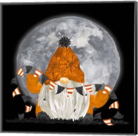 Framed 'Gnomes of Halloween I-Banners' border=