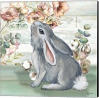 Framed 'Farmhouse Bunny III' border=