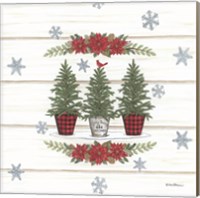 Framed 'Christmas Tree Trio' border=