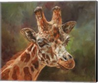 Framed Giraffe Portrait 2