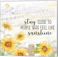 Framed 'Good Morning Sunshine X-Stay Close' border=