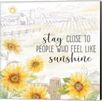 Framed 'Good Morning Sunshine X-Stay Close' border=